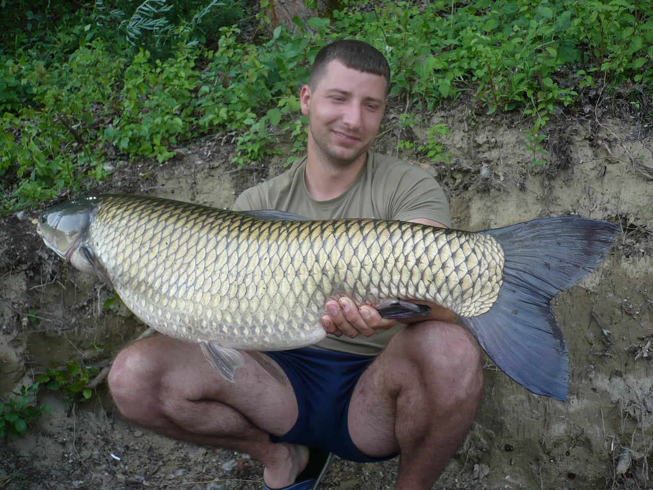 Trstenik2 2010 15kg - medium