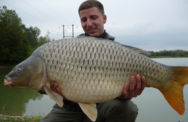 Ljuskaš-640px